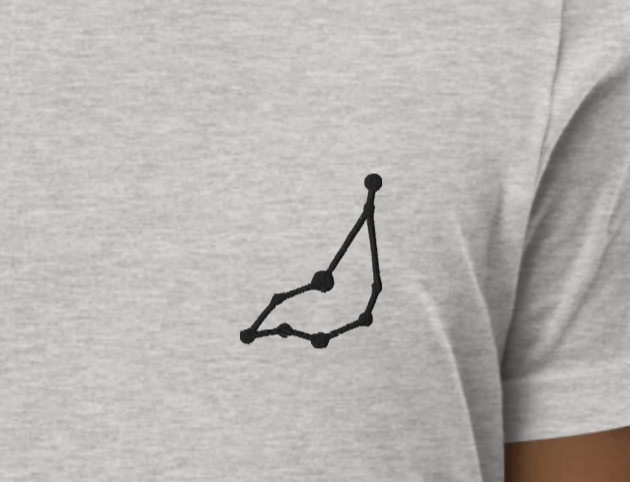 Kids Custom Personalized Embroidered T-shirt in Horoscope Sign Design