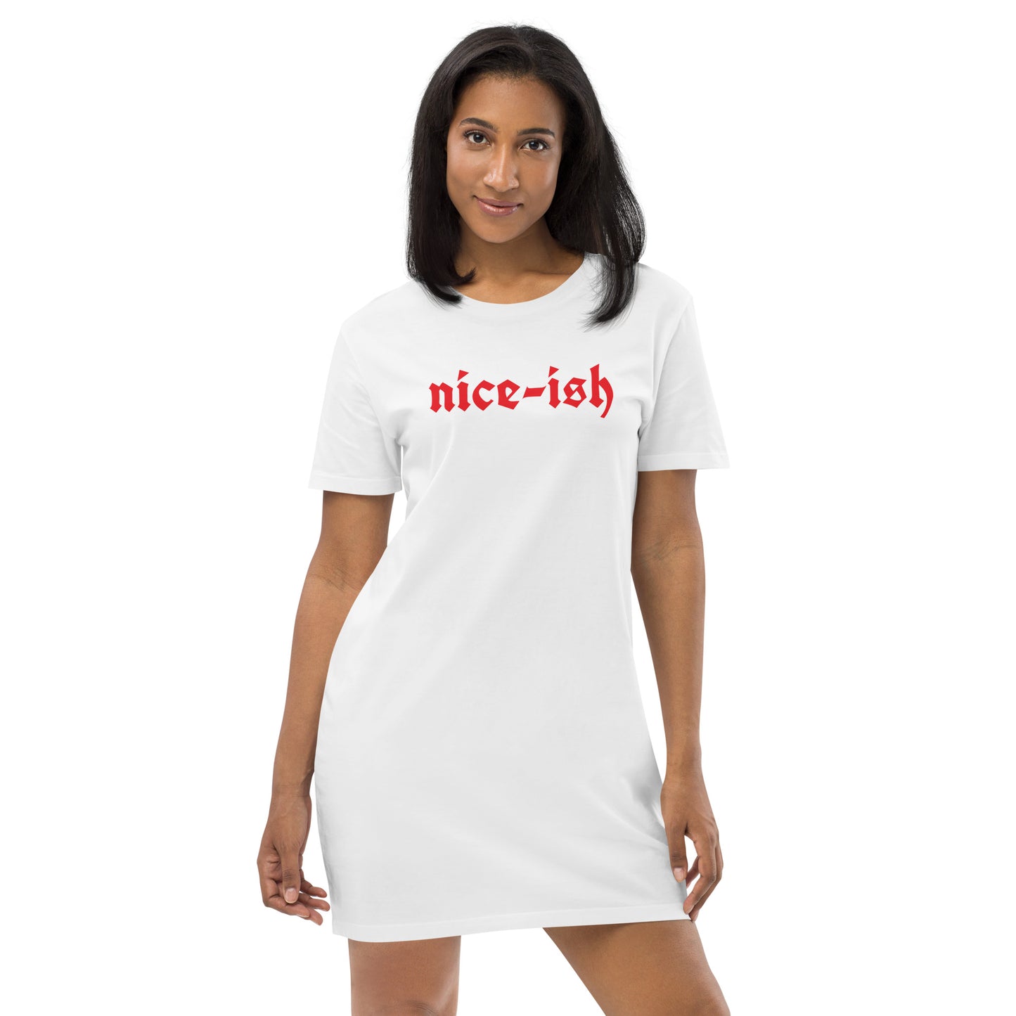 Holiday Tee Dress in Nice-ish