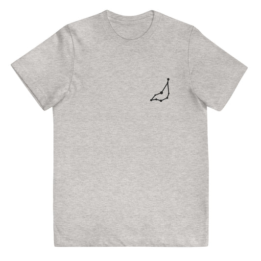 Kids Custom Personalized Embroidered T-shirt in Horoscope Sign Design