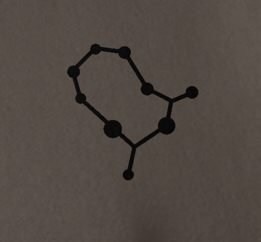 Unisex Premium Graphic Personalized Custom Embroidered Constellation Hoodie In Horoscope Sign Design